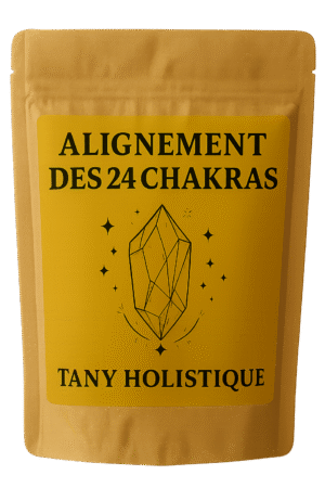 Kit Alignement des 24 chakras