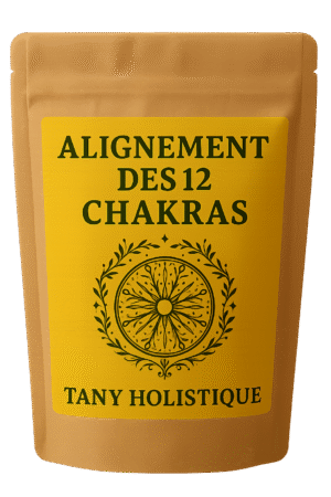 Kit Alignement des 12 chakras