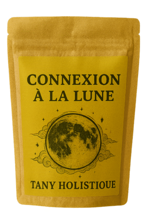 Kit Connexion à la lune